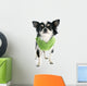 Dressed Chihuahua Wall Decal