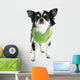 Dressed Chihuahua Wall Decal