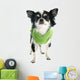 Dressed Chihuahua Wall Decal