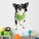 Dressed Chihuahua Wall Decal