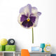 pansy Wall Decal