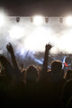 Cheering Crowd Concert Wall Decal
