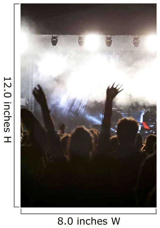 Cheering Crowd Concert Wall Decal