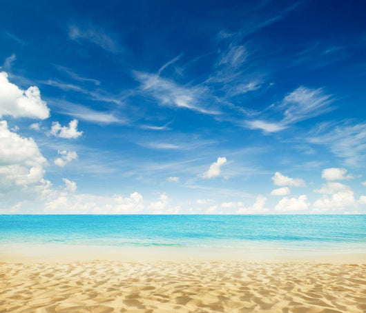 Tropical Beach