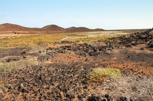 Island Lobos near Fuerteventura