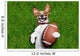 American Football Dog