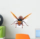 Asian Giant Hornet Wall Decal