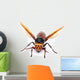 Asian Giant Hornet Wall Decal