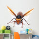Asian Giant Hornet Wall Decal