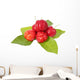 Acerola Fruit and Leaf