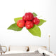 Acerola Fruit and Leaf