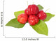 Acerola Fruit and Leaf