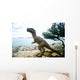 Dinosaur National Park Grand