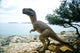 Dinosaur National Park Grand