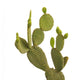 Cactus on white backgraund Wall Decal