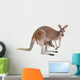 Kangaroo with Joey
