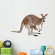 Kangaroo with Joey