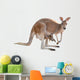 Kangaroo with Joey