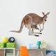 Kangaroo with Joey