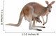 Kangaroo with Joey