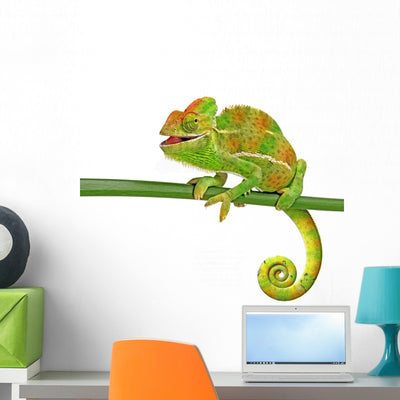 Happy Chameleon shown on a wall
