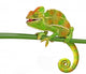 Happy Chameleon