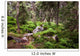 Old Forest Mountain Stones