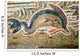 Dolphin Mosaic