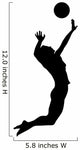 volleyball Wall Decal