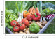Large Basket Vegetables Plan