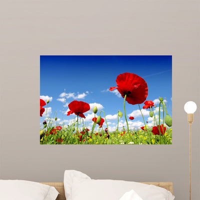 Red Poppy and Wild Wall Mural shown on a wall