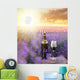 Bottle of wine. Wall Mural