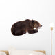 Brown Bear, Ursus Arctos Wall Decal