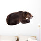 Brown Bear, Ursus Arctos Wall Decal