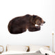 Brown Bear, Ursus Arctos Wall Decal