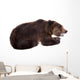 Brown Bear, Ursus Arctos Wall Decal