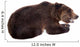 Brown Bear, Ursus Arctos Wall Decal