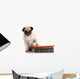 Well-read Pug Dog Wall Decal