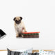 Well-read Pug Dog Wall Decal