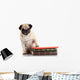 Well-read Pug Dog Wall Decal