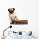 Well-read Pug Dog Wall Decal