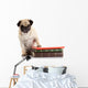 Well-read Pug Dog Wall Decal