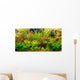 Tropical freshwater aquarium with fishes Wall Mural