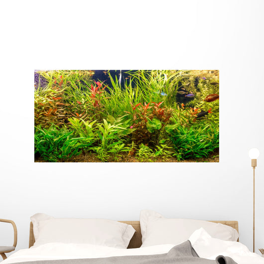 Tropical freshwater aquarium with fishes Wall Mural