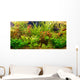 Tropical freshwater aquarium with fishes Wall Mural