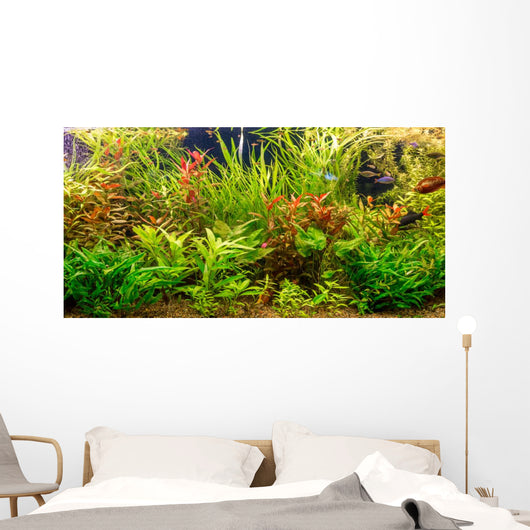 Tropical freshwater aquarium with fishes Wall Mural