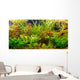 Tropical freshwater aquarium with fishes Wall Mural