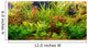 Tropical freshwater aquarium with fishes Wall Mural