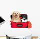 Happy reddish Bichon Havanese dog in a red traveling suitcase Wall Decal
