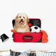 Happy reddish Bichon Havanese dog in a red traveling suitcase Wall Decal